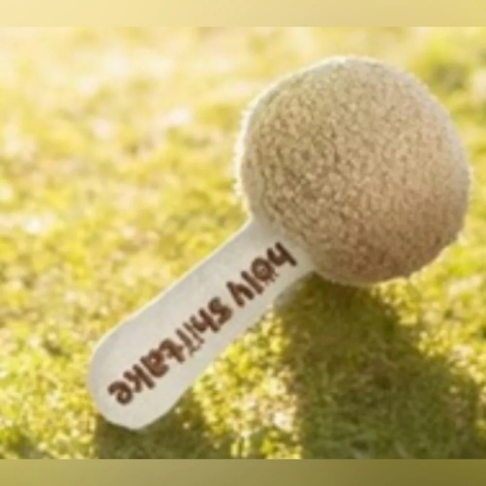 Mushroom Catnip Cat Toys, Catnip & Silvervine Chew Toy, Shiitake Mushroom 🍄‍🟫